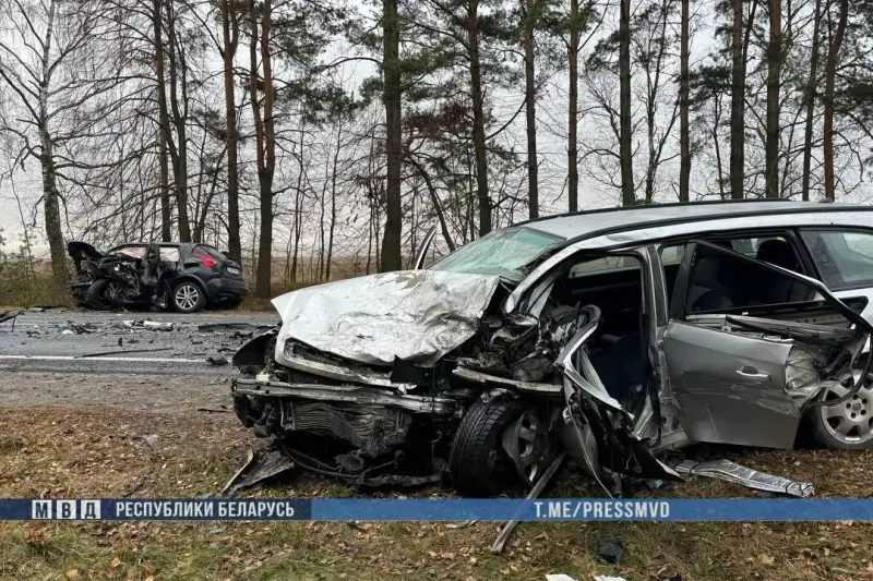 В Гомельской области «Ниссан» врезался в «Опель»: погибли оба водителя