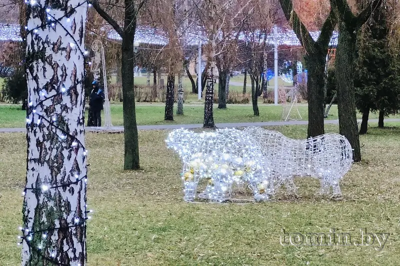 Предновогодний парк Мира в Бресте