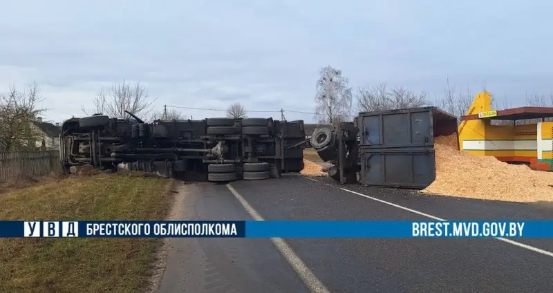 Лопнуло колесо: в Пружанском районе опрокинулся грузовик со щепой