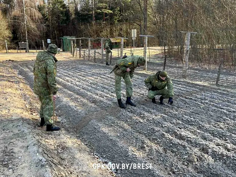 Состязались старшие пограннарядов: итоги сборов подвели в Брестской пограничной группе