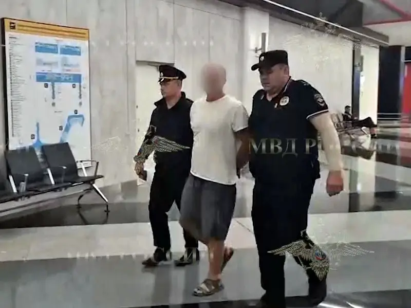 В аэропорту Шереметьево гражданин Беларуси с размаха бросил на пол двухлетнего малыша