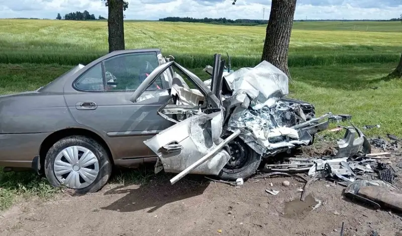 Водитель-новичок пошел на обгон — в лобовом ДТП погибла девочка