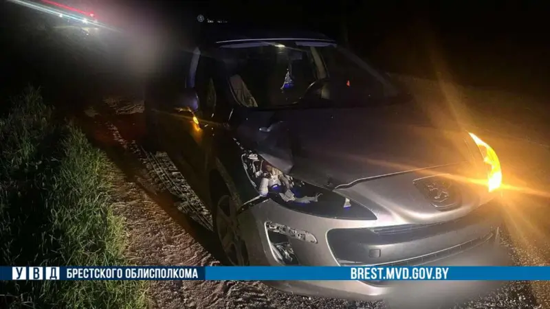 В Березовском районе «Пежо» насмерть сбил 85-летнюю женщину В Березовском районе «Пежо» насмерть сбил 85-летнюю женщину