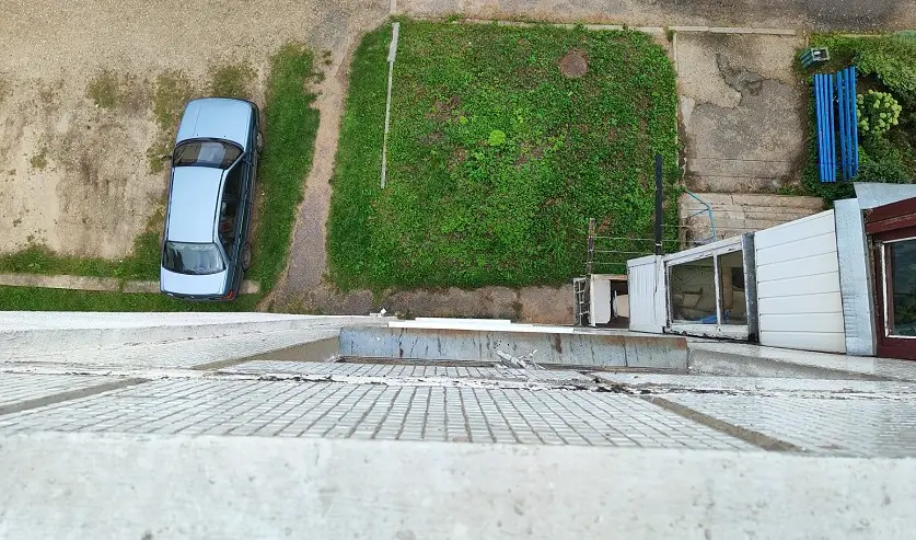 Хозяйка выбросила кота с пятого этажа: возбуждено уголовное дело Хозяйка выбросила кота с пятого этажа: возбуждено уголовное дело