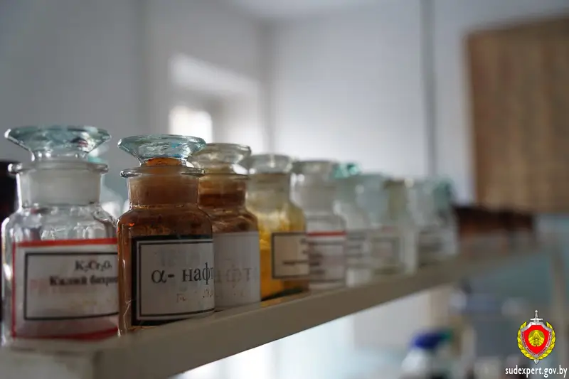 В лесу под Барановичами нашли тело мужчины: от чего он погиб, выяснили эксперты В лесу под Барановичами нашли тело мужчины: от чего он погиб, выяснили эксперты