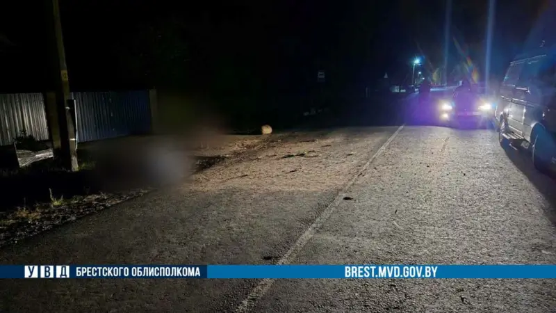 В Пинском районе мотоциклист врезался в столб и погиб