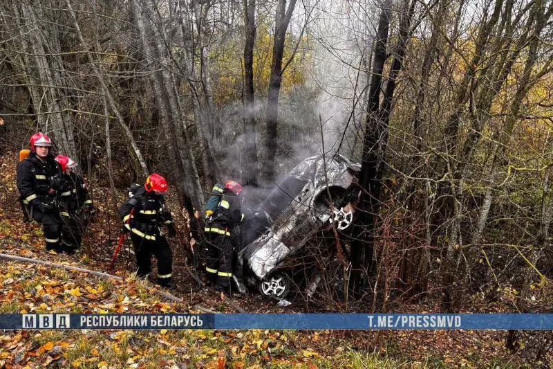 «Фольксваген» загорелся в кювете, двое погибли: трагедия в Кричевском районе