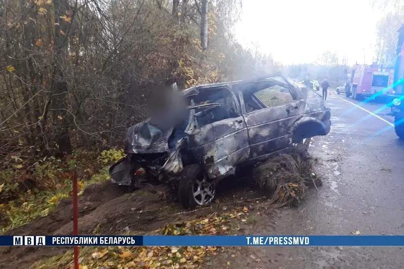 «Фольксваген» загорелся в кювете, двое погибли: трагедия в Кричевском районе