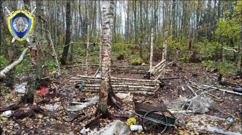 «Эксперимент» с порохом закончился больницей: двое подростков пострадали в Шкловском районе «Эксперимент» с порохом закончился больницей: двое подростков пострадали в Шкловском районе
