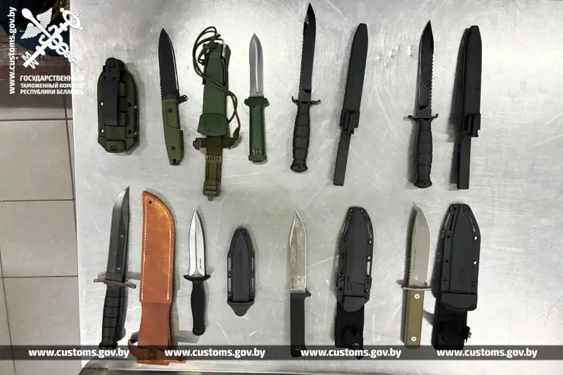 Прятали шприц-ручки и ножи: о новых случаях контрабанды рассказали в Брестской таможне