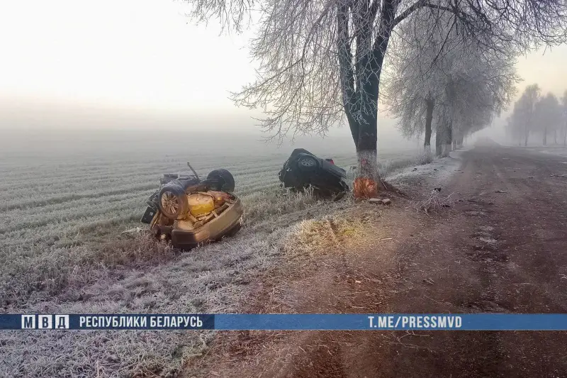 На Гомельщине «Опель» разорвало о дерево: погибли двое парней