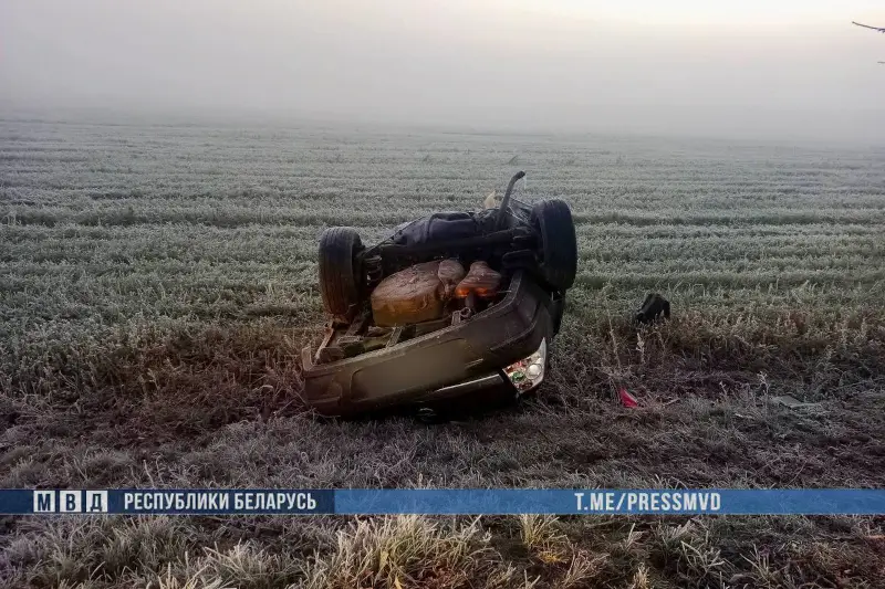 На Гомельщине «Опель» разорвало о дерево: погибли двое парней
