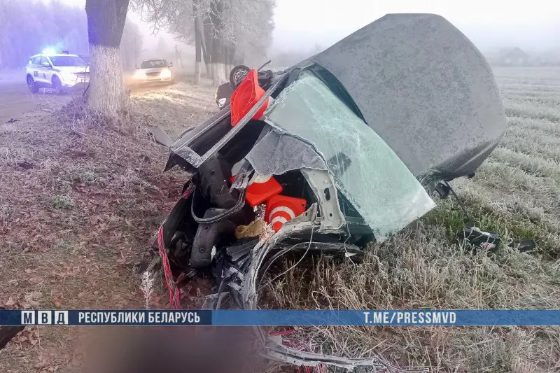 На Гомельщине «Опель» разорвало о дерево: погибли двое парней