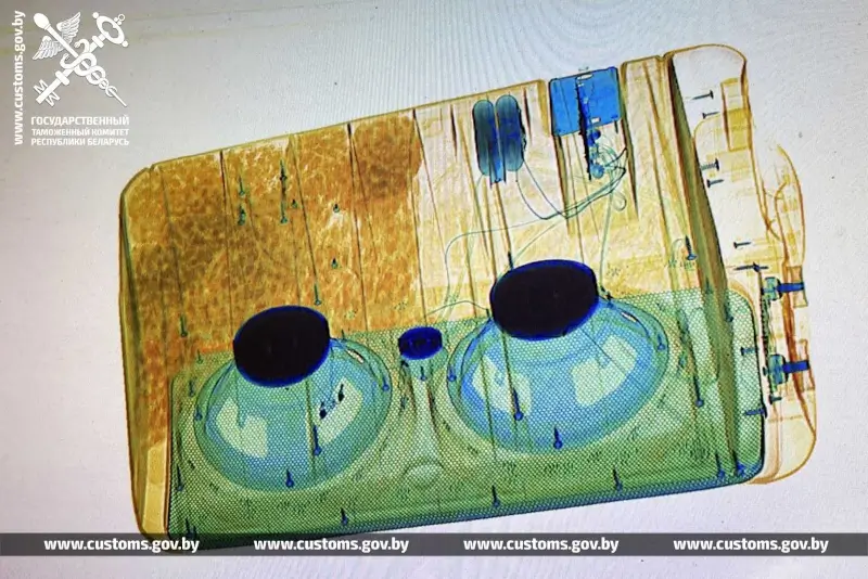 Психотропы и наркотики обнаружили брестские таможенники в музыкальных колонках