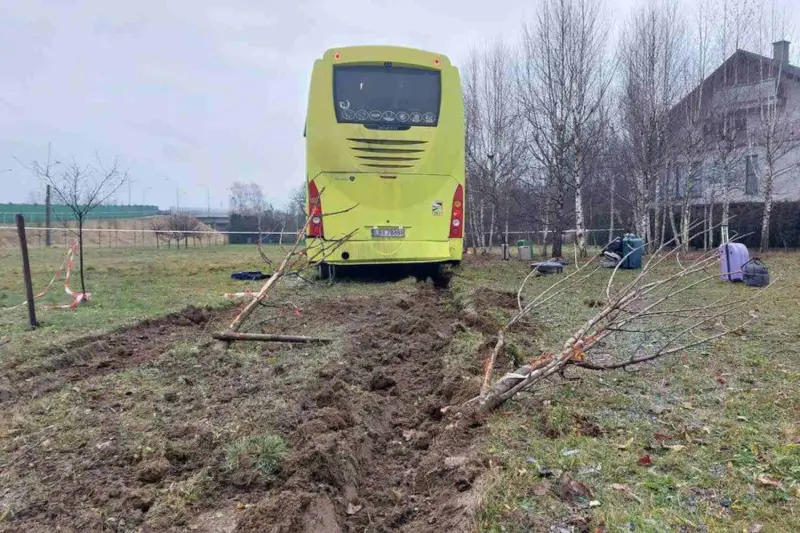 Белорусские туристы попали в ДТП у польского Жешува: автобус «уехал» в поле Белорусские туристы попали в ДТП у польского Жешува: автобус «уехал» в поле