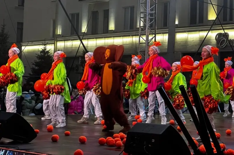 В Бресте зажгла огни главная новогодняя елка города: как это было