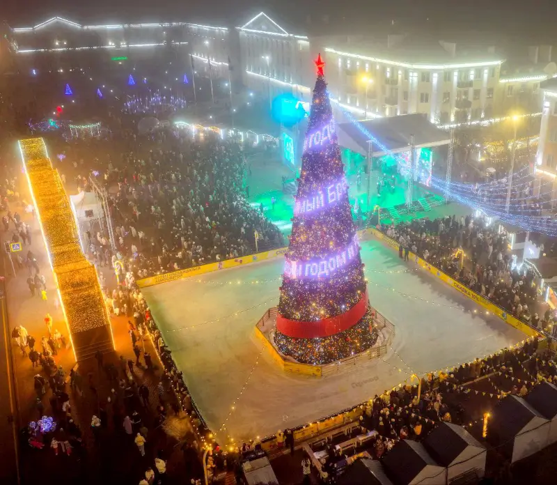 В Бресте зажгла огни главная новогодняя елка города: как это было