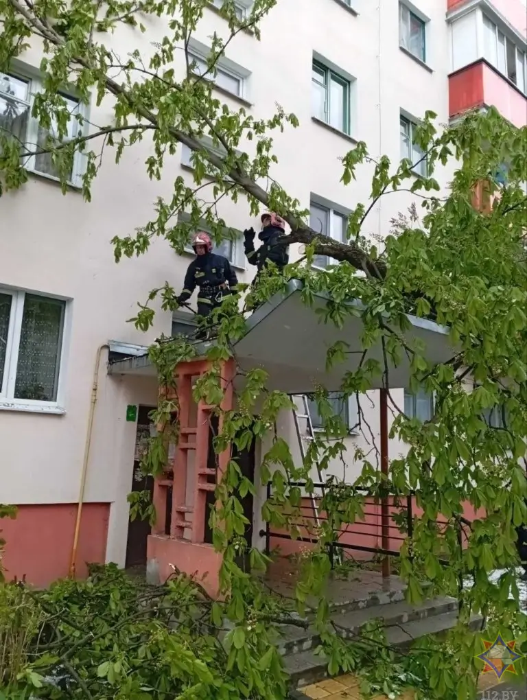 Упавшие деревья, поврежденные кровли: о последствиях непогоды на Брестчине рассказали в МЧС