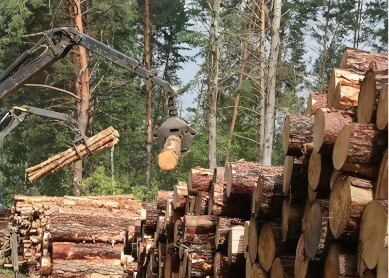 КГК на Брестчине остановил закупку лесозаготовки на 1 млн рублей КГК на Брестчине остановил закупку лесозаготовки на 1 млн рублей