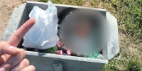 Дети под прицелом: в Бресте школьница отдала мошенникам 40 тысяч рублей