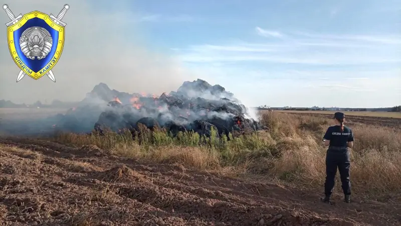 В Сморгонском районе ребенок нашел спички и поджег скирду соломы В Сморгонском районе ребенок поджег скирду соломы