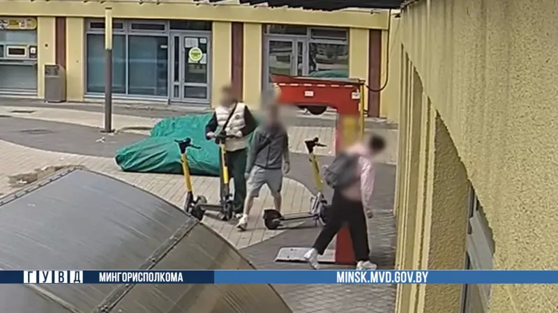 В Минске задержали серийных взломщиков уличных силомеров В Минске задержали серийных взломщиков уличных силомеров
