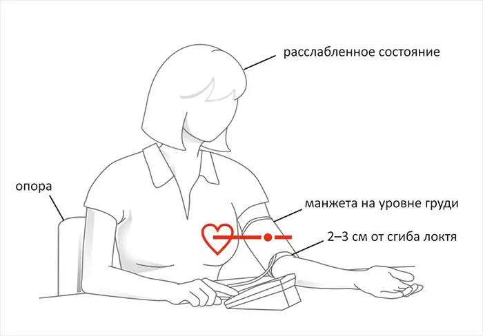 Как правильно измерять давление Как точно измерить артериальное давление и избежать гипертонии: инструкция кардиолога