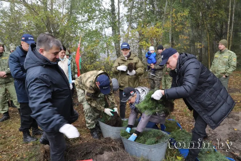 Брестская таможня присоединилась к акции «Дай лесу новае жыццё!» Брестские таможенники высадили более 11 тысяч молодых деревьев