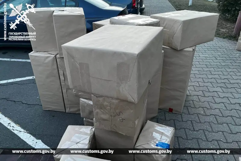 Брестская таможня изъяла партию техники из Польши на 160 тыс. рублей Вместо трикотажа — техника: на М1 задержали груз на 160 тысяч