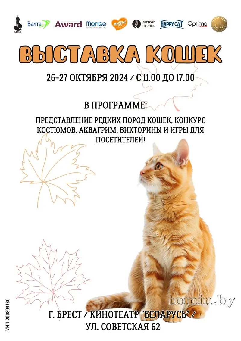 Выставка кошек в Бресте