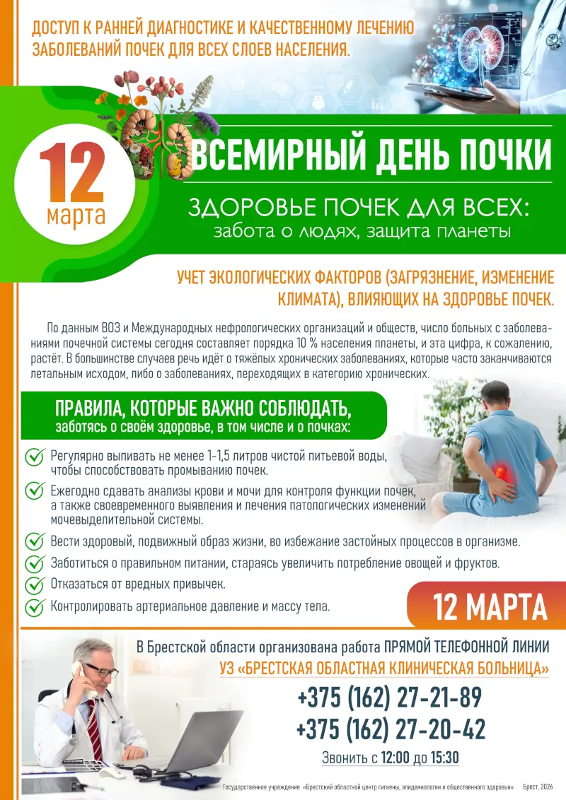 Почки под защитой: почему забота о них важна для здоровья