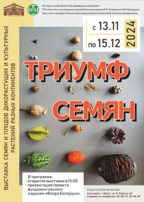 Жёлуди Мамврийского дуба, ископаемая флора и еще много интересного: выставка «Триумф семян» в краеведческом музее Бреста