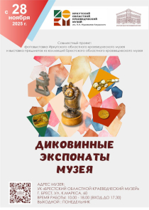 Выставка диковин в краеведческом музее Бреста