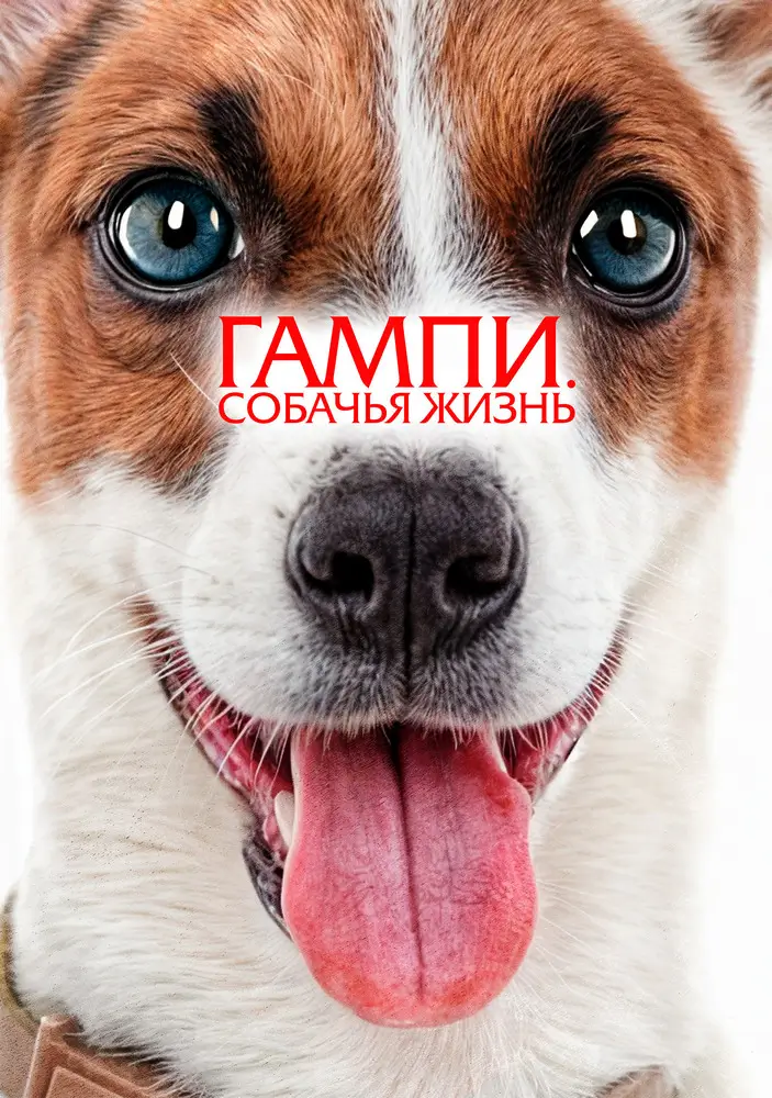 Гампи. Собачья жизнь
