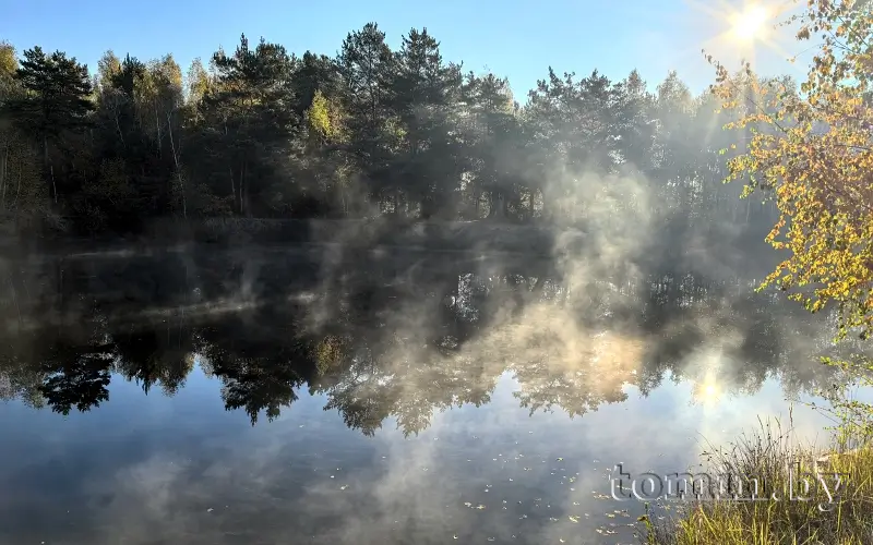 Погода в Бресте