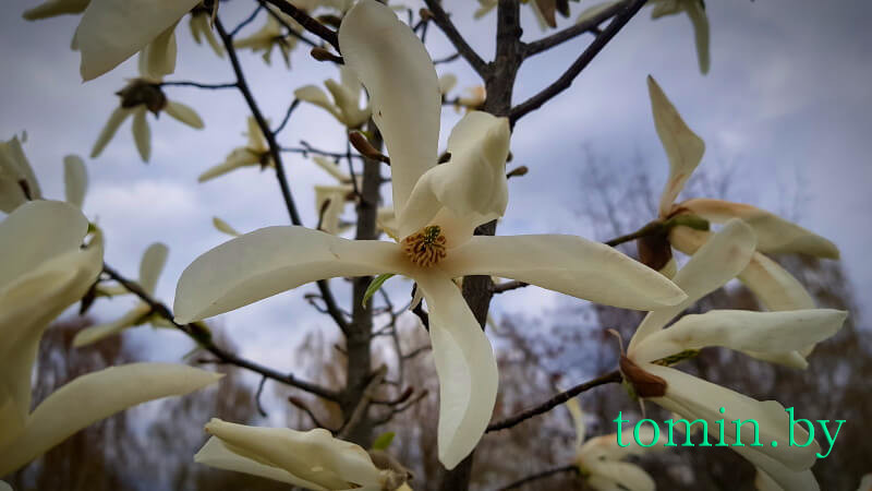 pogoda01 2