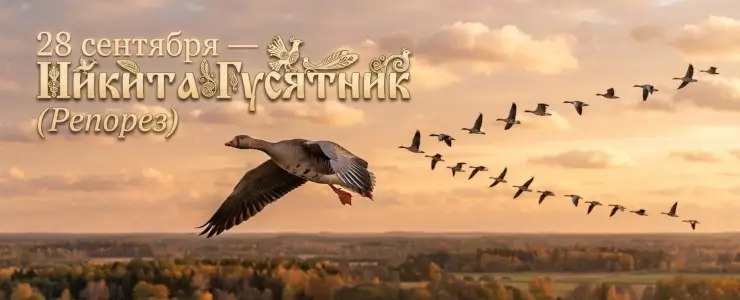 Никита Гусятник: почему 28 сентября в деревнях резали репу и провожали перелетных птиц