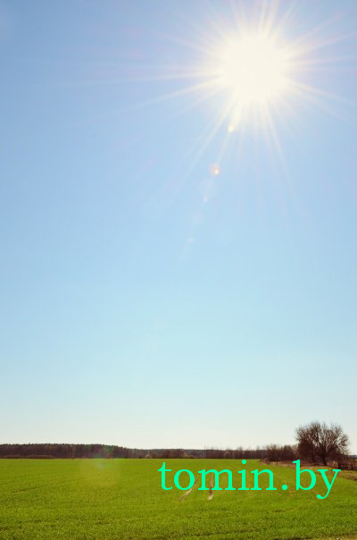 Дмитрий Гук. Мир природы. Фотовернисаж Дмитрий Гук. Мир природы. Фотовернисаж