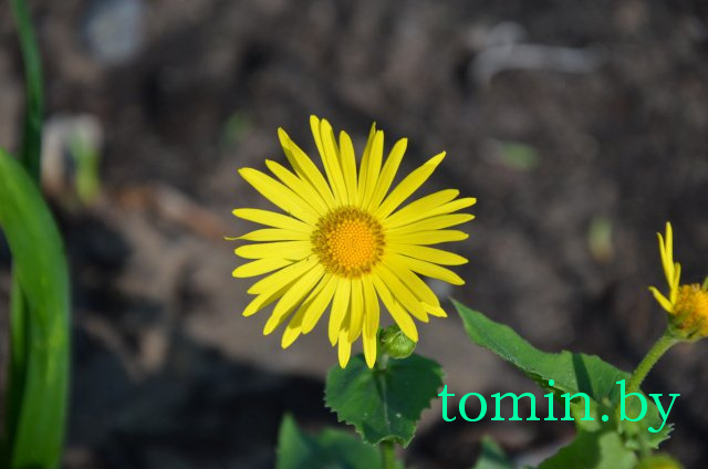 Дмитрий Гук. Мир природы. Фотовернисаж Дмитрий Гук. Мир природы. Фотовернисаж