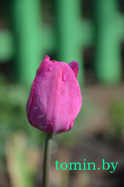 Дмитрий Гук. Мир природы. Фотовернисаж Дмитрий Гук. Мир природы. Фотовернисаж