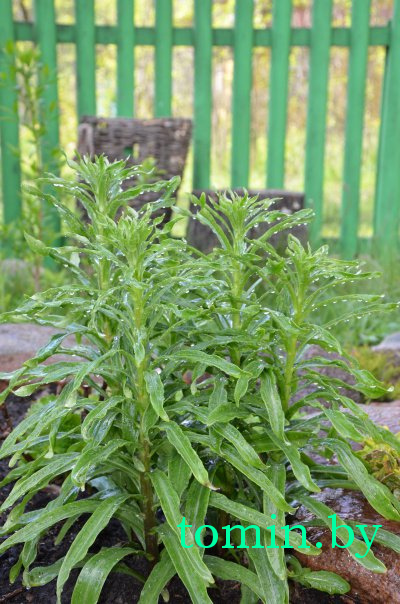 Дмитрий Гук. Мир природы. Фотовернисаж Дмитрий Гук. Мир природы. Фотовернисаж