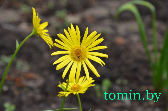 Дмитрий Гук. Мир природы. Фотовернисаж Дмитрий Гук. Мир природы. Фотовернисаж