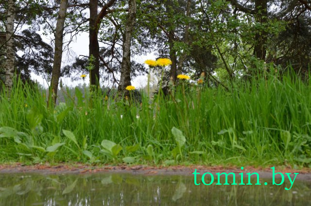 Дмитрий Гук. Мир природы. Фотовернисаж Дмитрий Гук. Мир природы. Фотовернисаж