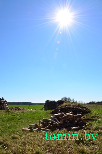 Дмитрий Гук. Мир природы. Фотовернисаж Дмитрий Гук. Мир природы. Фотовернисаж