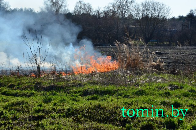 Дмитрий Гук. Мир природы. Фотовернисаж Дмитрий Гук. Мир природы. Фотовернисаж