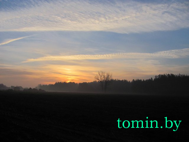 Дмитрий Гук. Мир природы. Фотовернисаж Дмитрий Гук. Мир природы. Фотовернисаж