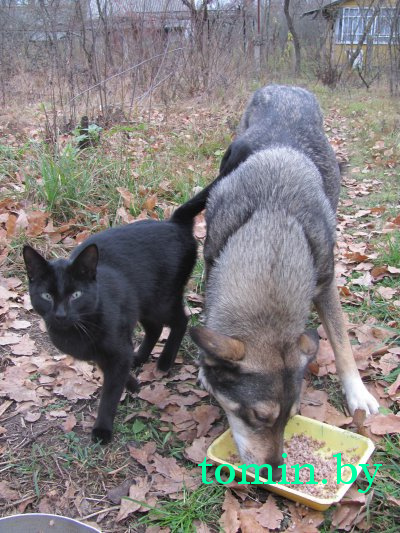 Дмитрий Гук. Мир природы. Фотовернисаж Дмитрий Гук. Мир природы. Фотовернисаж
