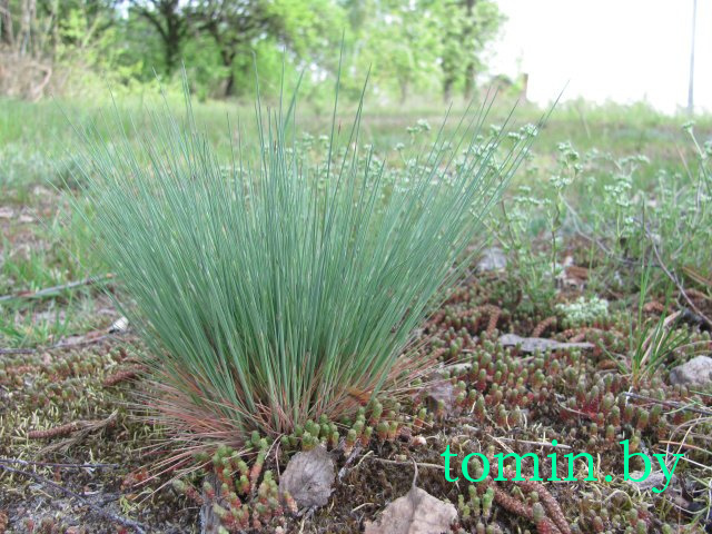Дмитрий Гук. Мир природы. Фотовернисаж Дмитрий Гук. Мир природы. Фотовернисаж