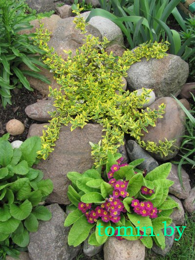 Дмитрий Гук. Мир природы. Фотовернисаж Дмитрий Гук. Мир природы. Фотовернисаж