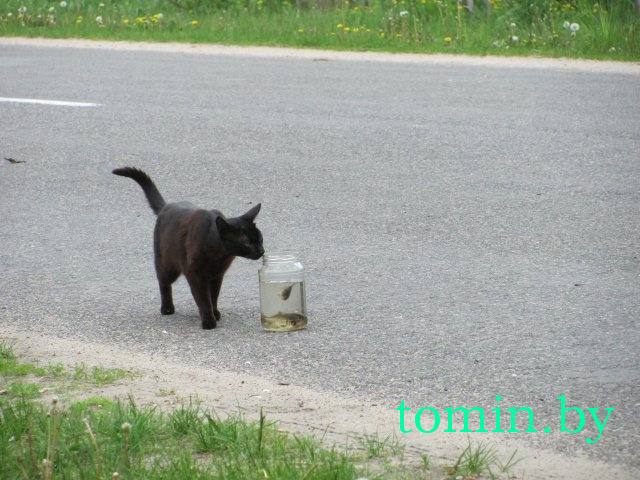 Дмитрий Гук. Мир природы. Фотовернисаж Дмитрий Гук. Мир природы. Фотовернисаж